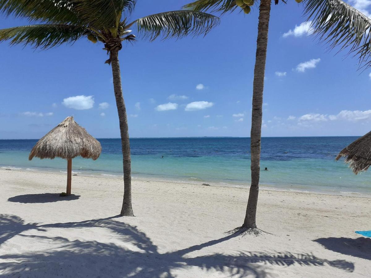 Turquise Beach Cancun Suite Buitenkant foto